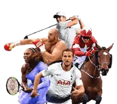 SEALJL sports games and online platform display